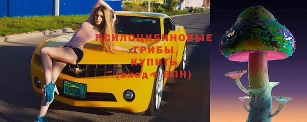 ГАЛЛЮЦИНОГЕННЫЕ ГРИБЫ Балабаново