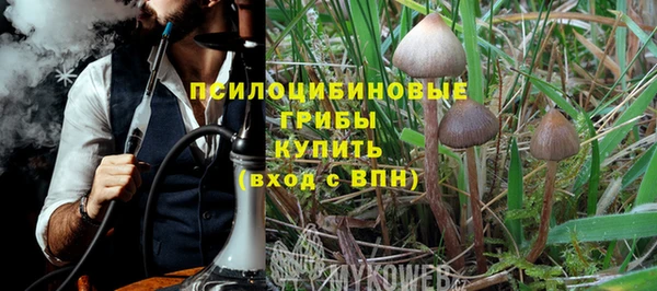 ГАЛЛЮЦИНОГЕННЫЕ ГРИБЫ Балабаново