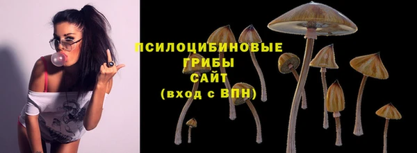 амф Баксан